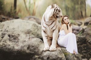 Advanced Best Live Dragon Tiger Online: Step-by-Step Guide for India (2027)